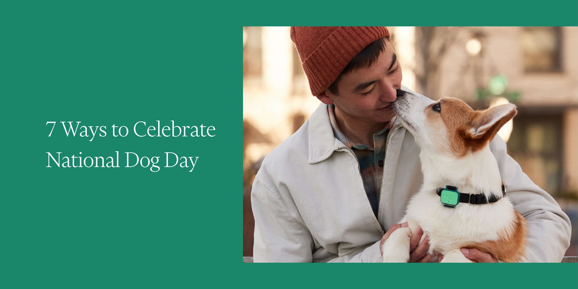 7 Ways to Celebrate National Dog Day - Whistle