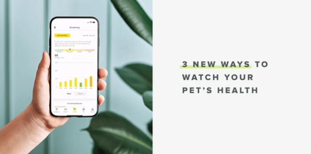 Three new ways to watch your pet’s health - Whistle
