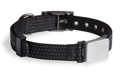 Whistle Switch Smart Collar