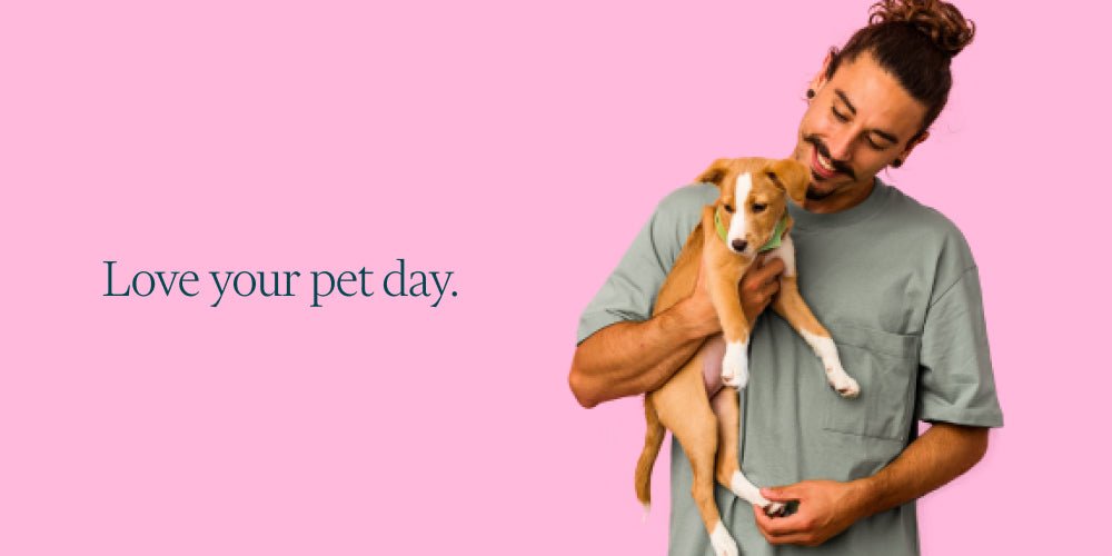 Celebrate National Love Your Pet Day! - Whistle