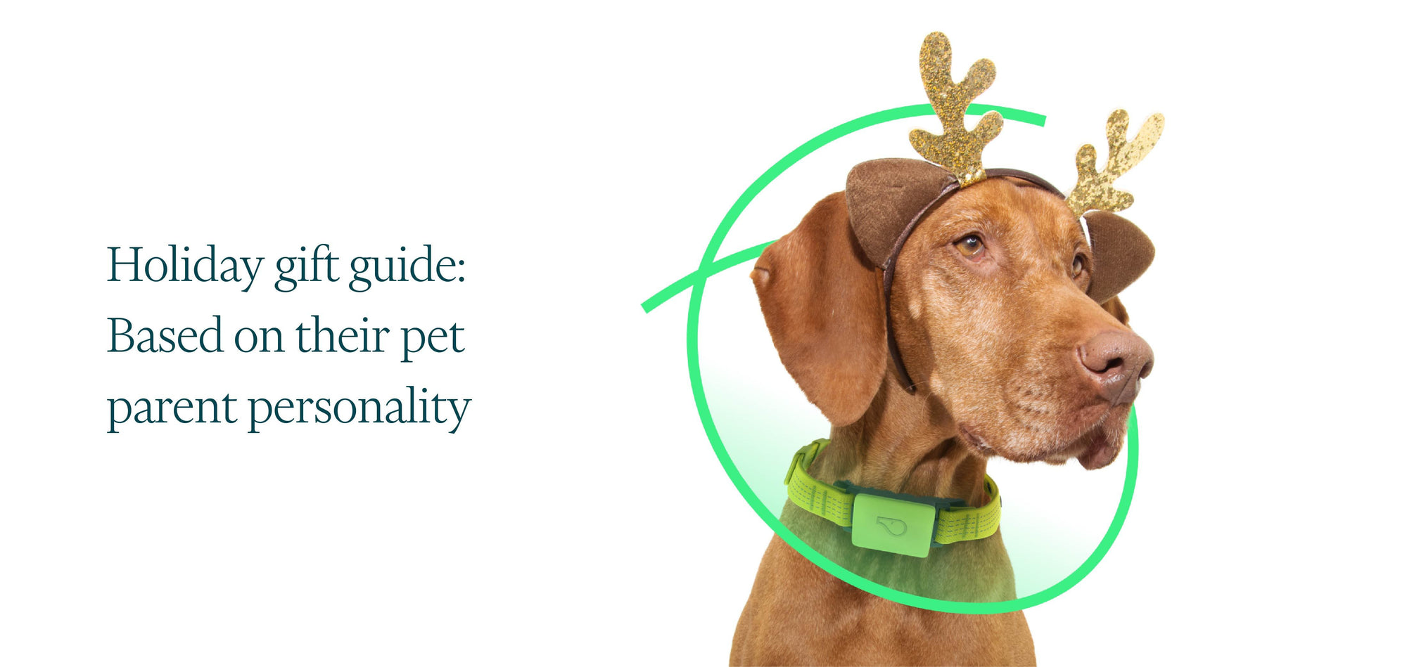 Holiday Gift Guide for all Pet Parent Personalities - Whistle