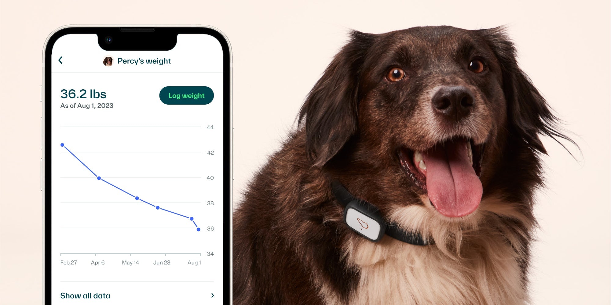 The Pawsitive Impact of Tracking Your Dog's Weight - Whistle