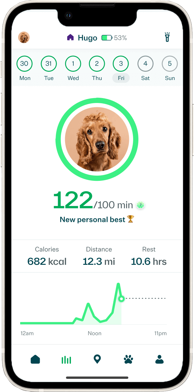 Whistle Switch GPS + Health + Fitness Smart Dog Collar, 24/7 Perro GPS  Tracker Plus Monitor de salud y fitness del perro, diseño elegante