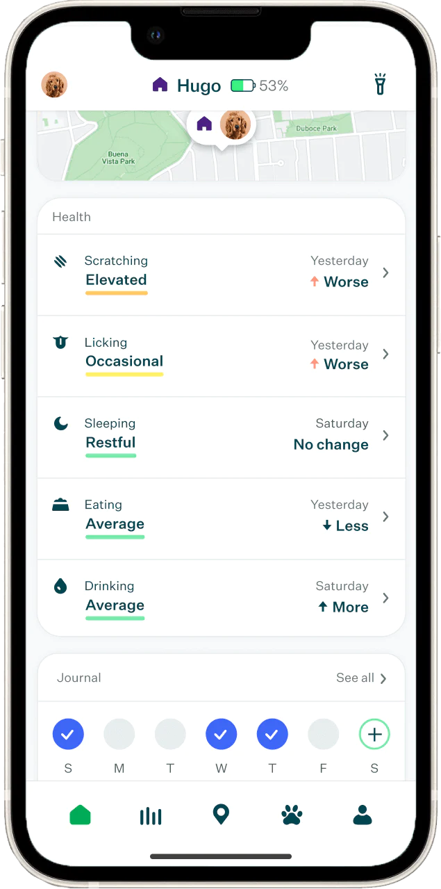 Whistle App - Health Tracking