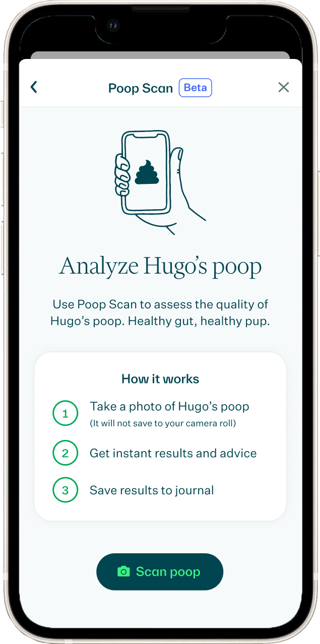 Whistle app lets you chat with a vet if your dog's poop isn't healthy