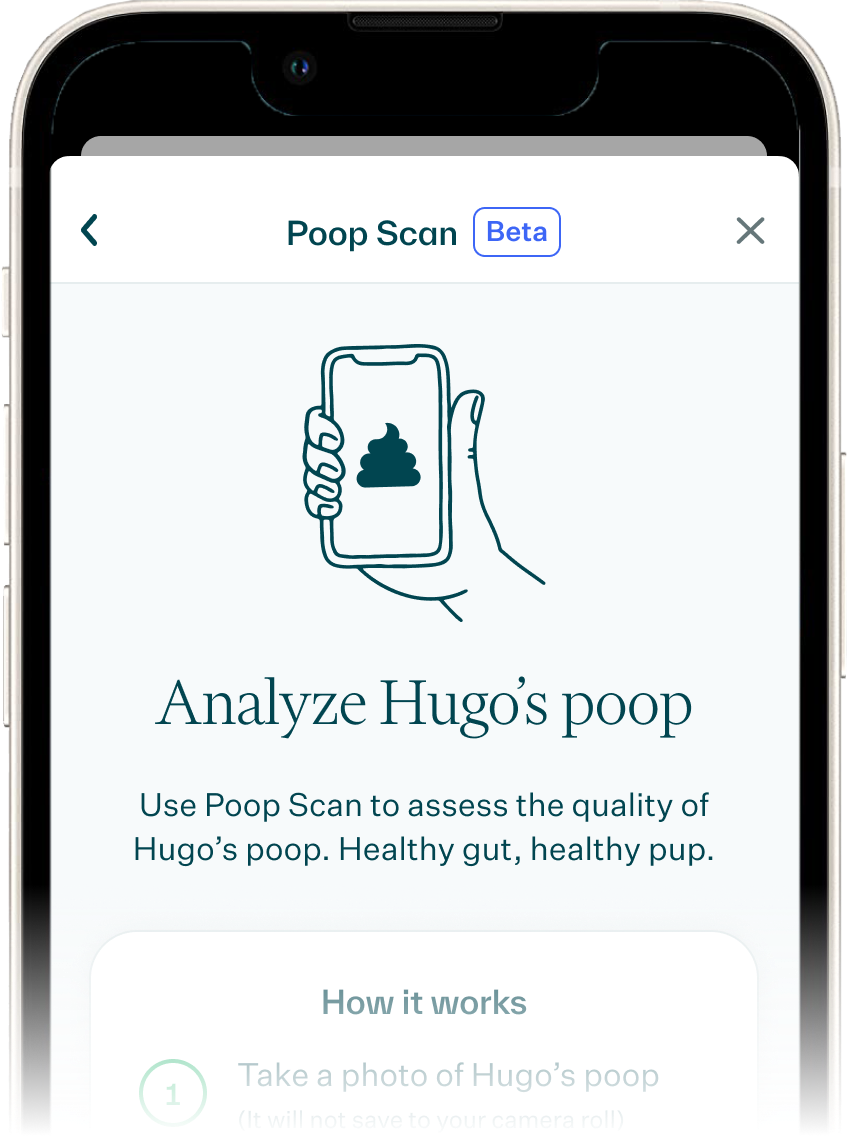The Whistle App New Feature Poop Scan