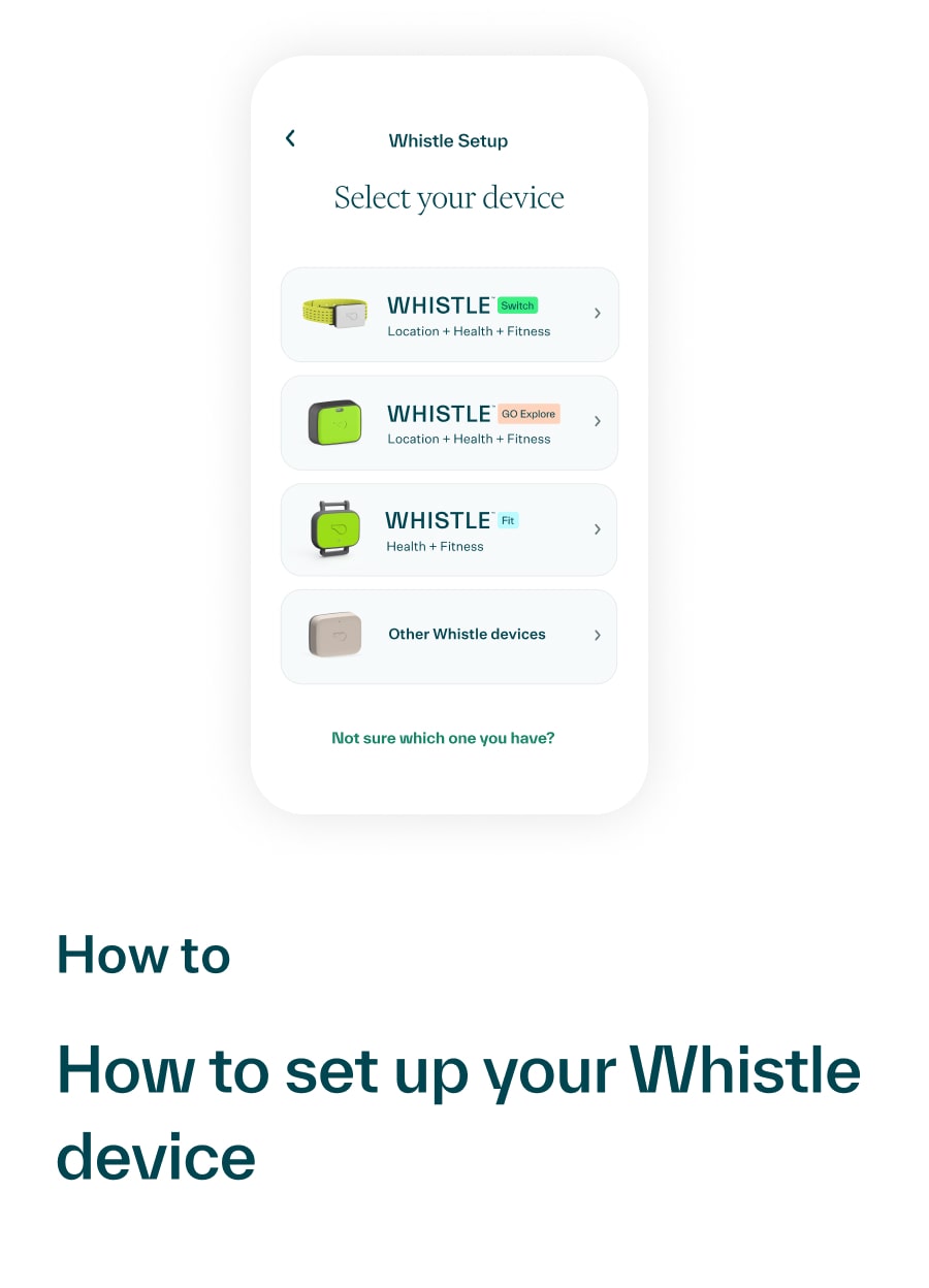 How to set up your Whistle device