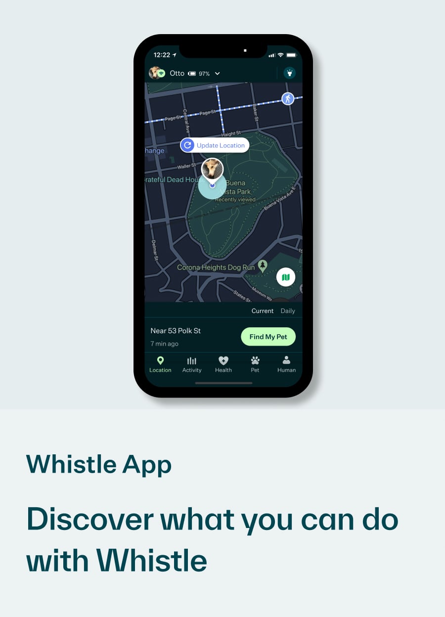 The Whistle App