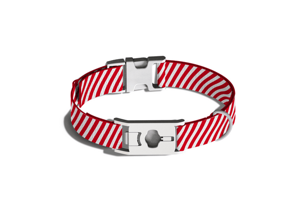 Go Explore 2.0 Dog Collar: Holiday Favorites - Whistle