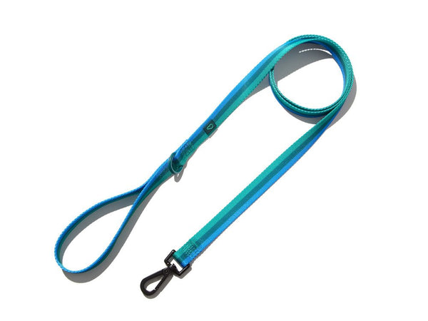 Seeing Stripes Dog Leash - Whistle