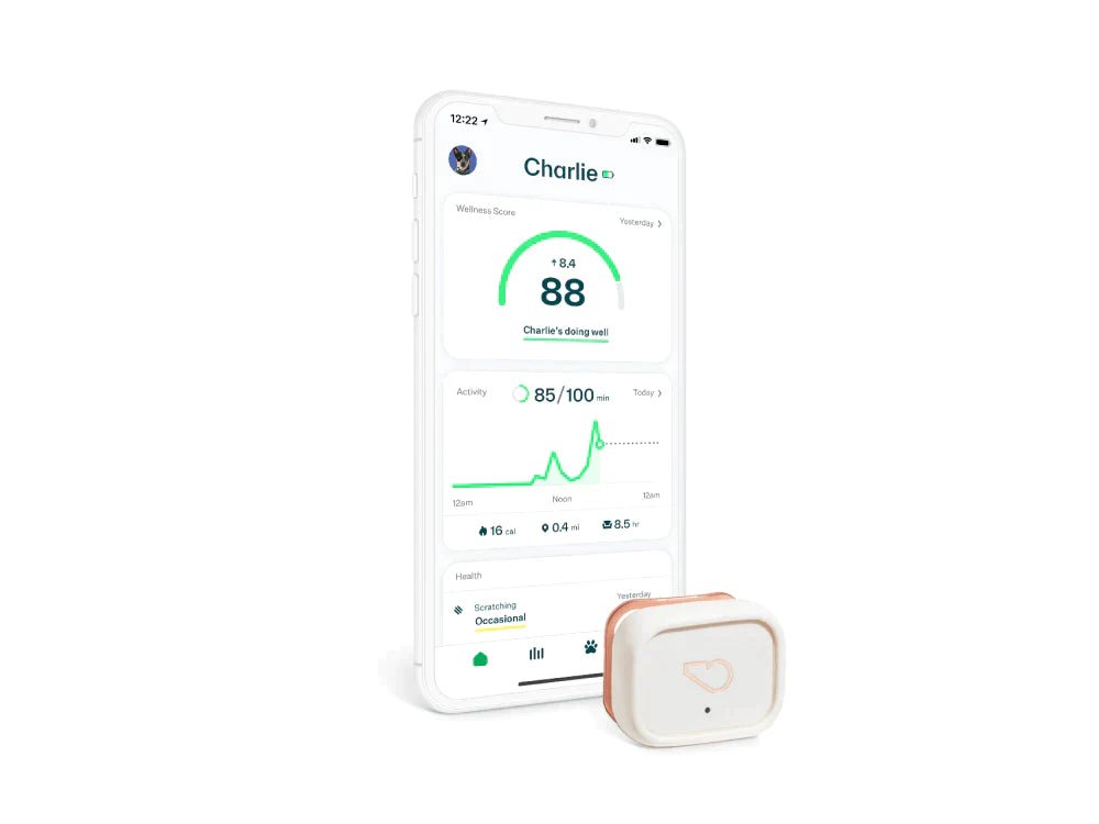 Whistle Health 2.0 Smart Device  