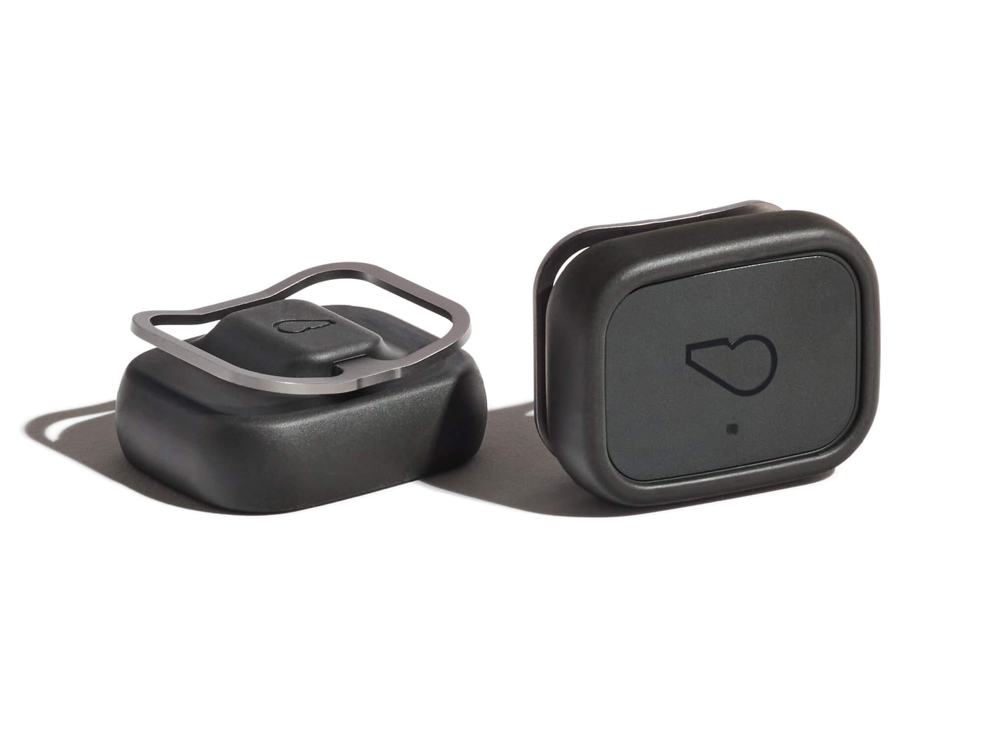 Whistle Health 2.0 Smart Device - Black + Brushed Metal